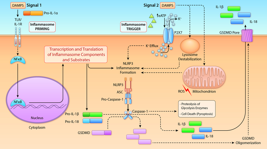 Figure 2.