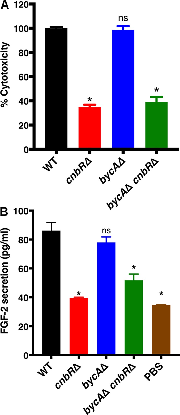 FIG 6