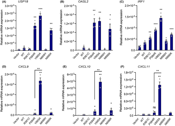 FIGURE 4