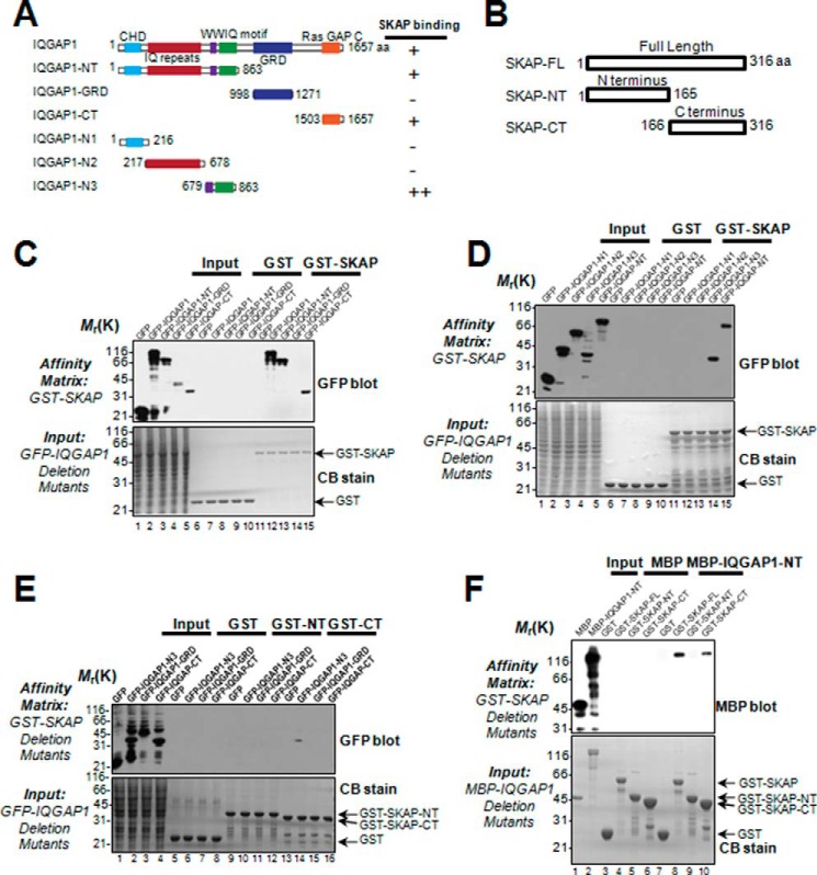 FIGURE 2.