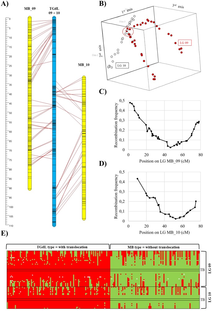 Fig 1