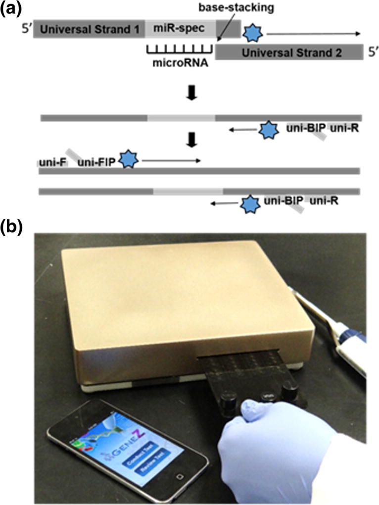 Fig. 1