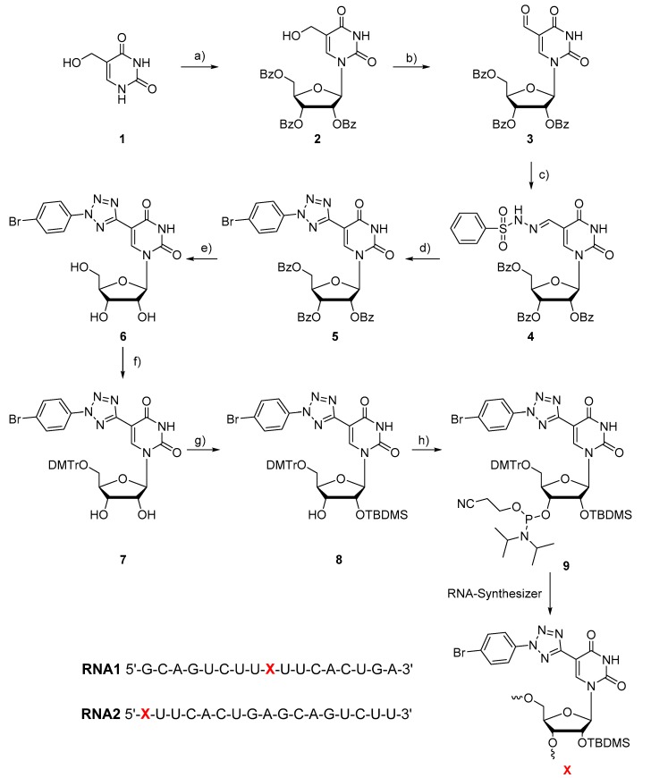 Scheme 1