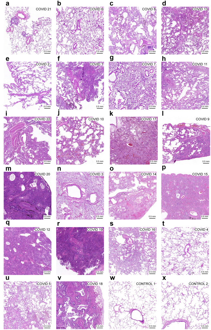 Fig. 2