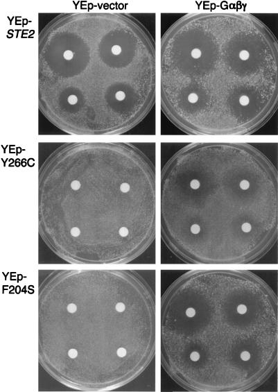 FIG. 8