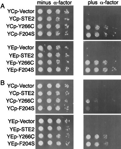 FIG. 7