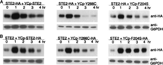 FIG. 6