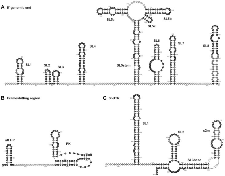 Figure 19.