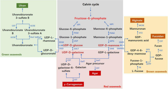 FIGURE 1