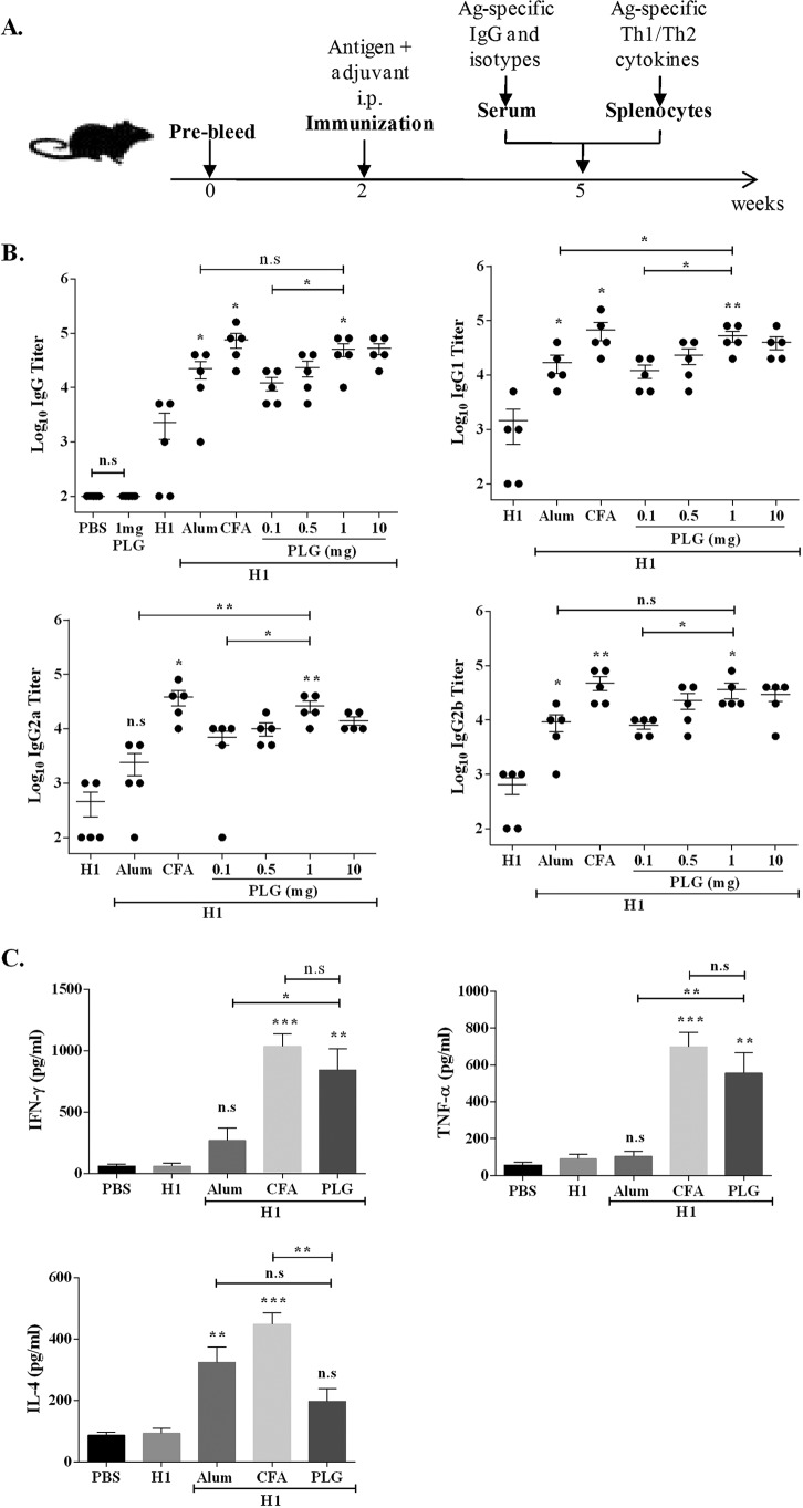 FIG 2