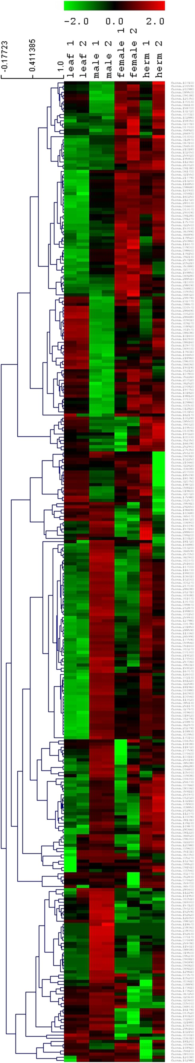 Fig. 3