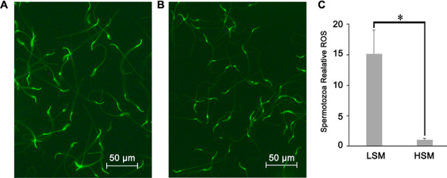 Fig. 9.