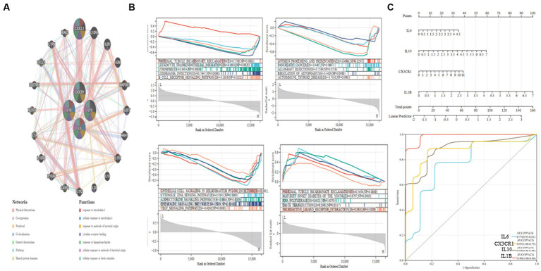 Figure 6