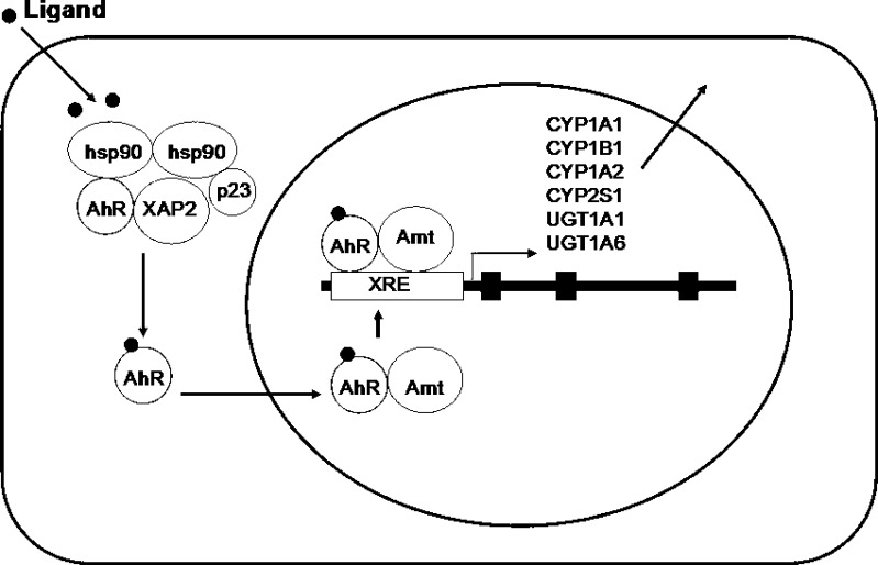 Fig. 3