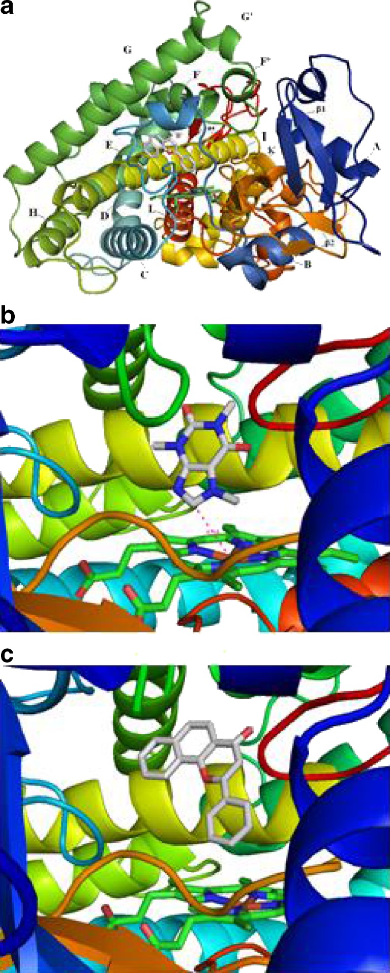 Fig. 1