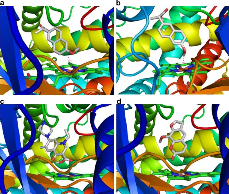 Fig. 2