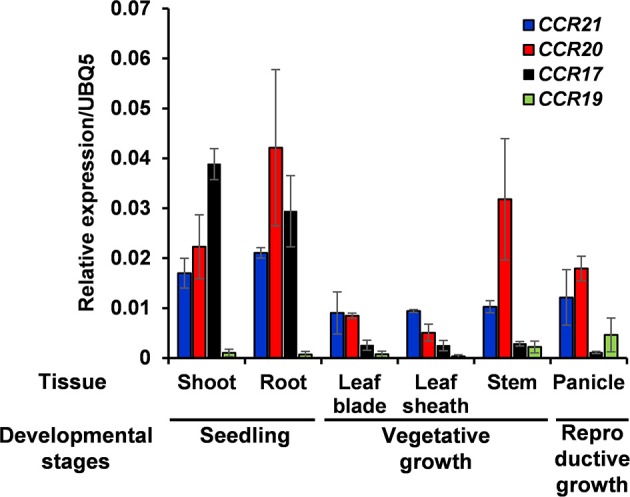 Figure 5