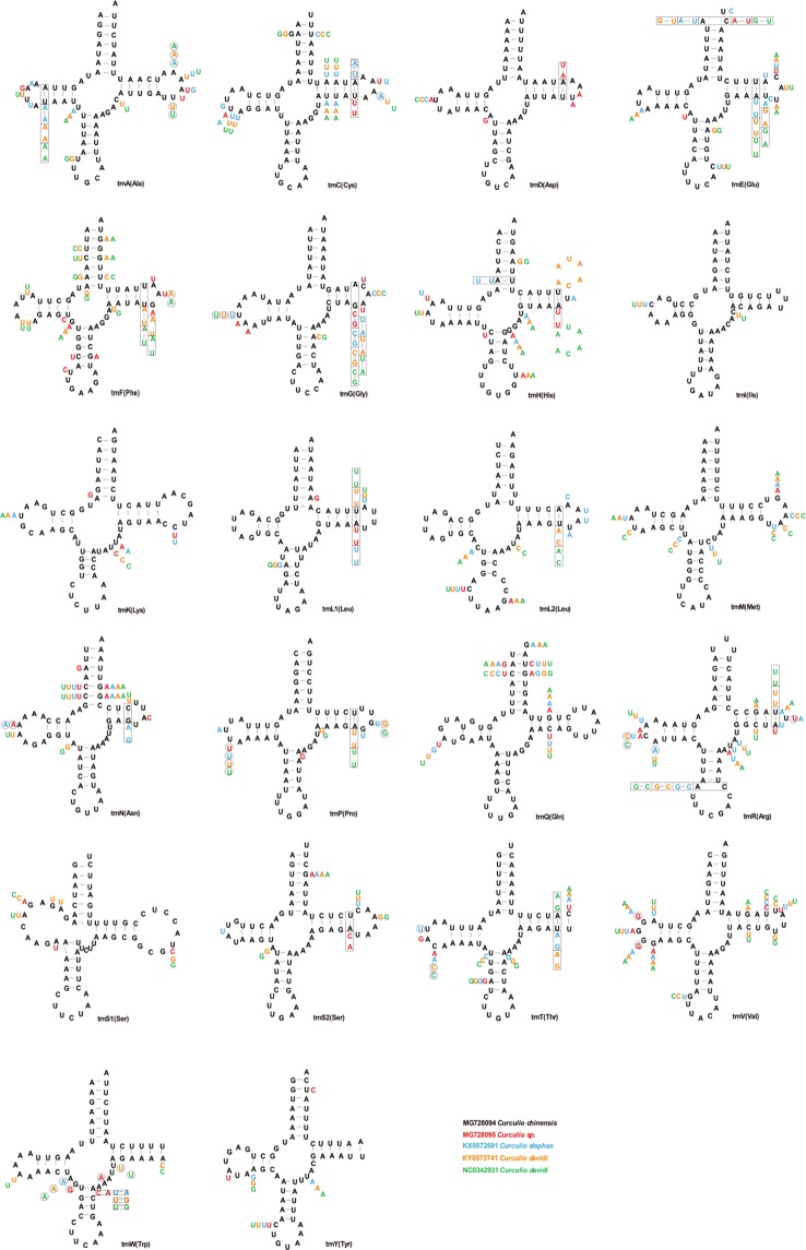 Figure 5