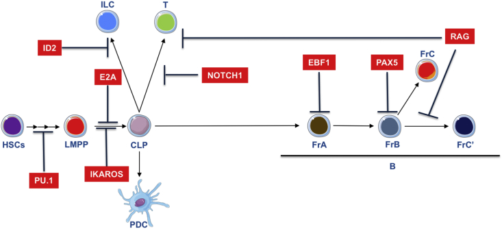 Fig. 2