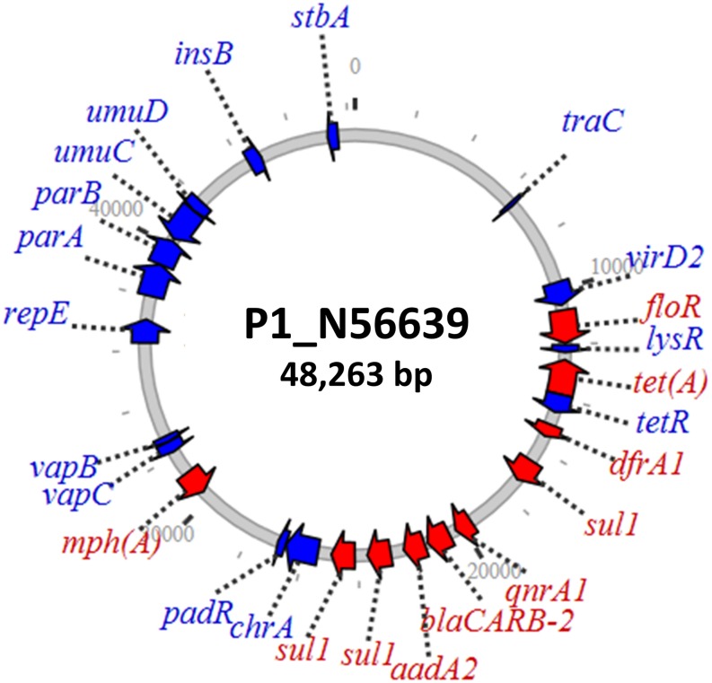 FIGURE 2