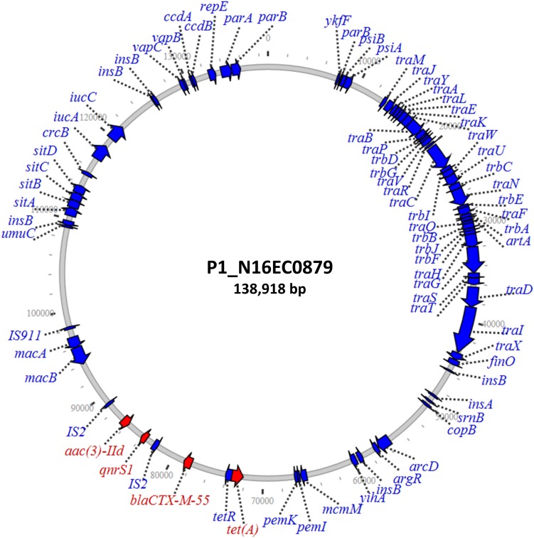 FIGURE 3