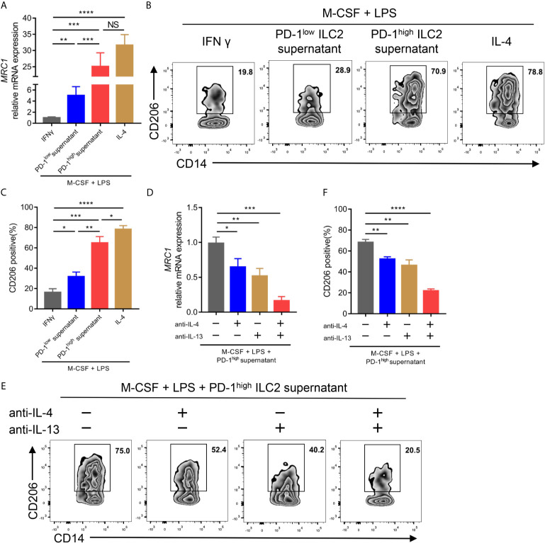 Figure 6