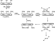 Scheme 4
