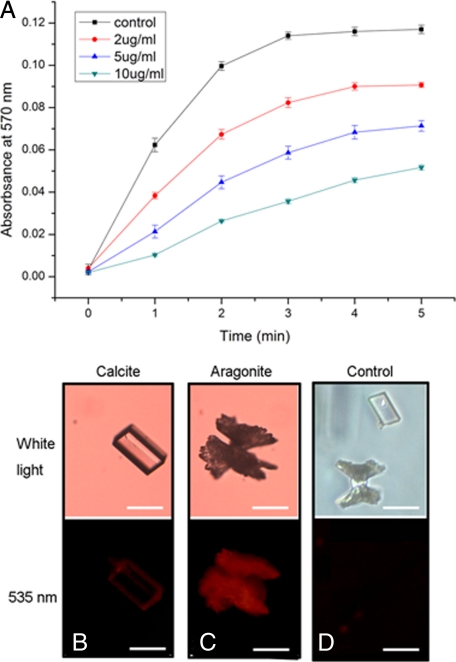 FIGURE 11.