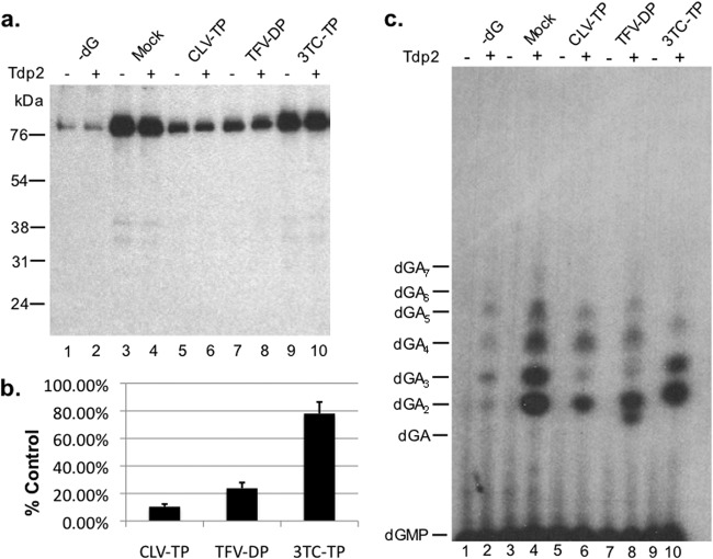 Fig 5