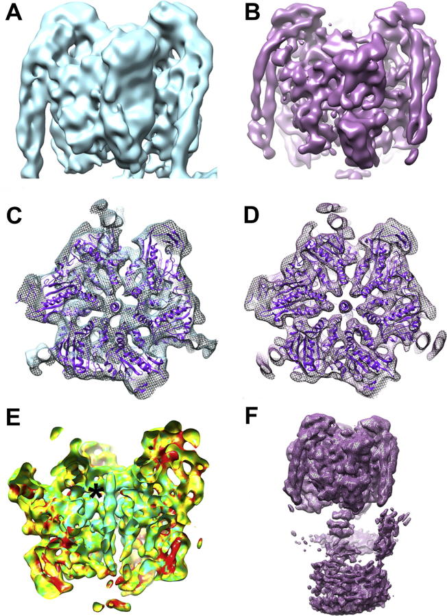 Fig. 2