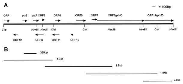 FIG. 1