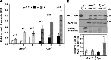 Figure 6.