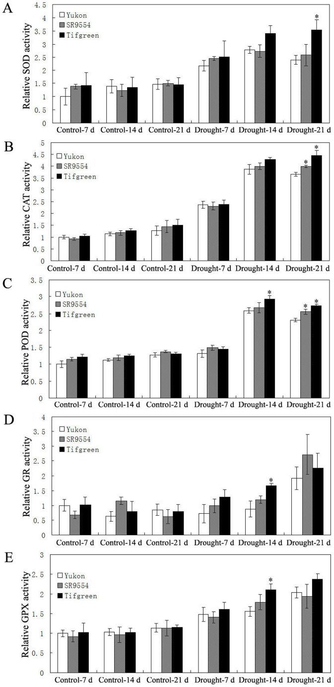 Figure 7