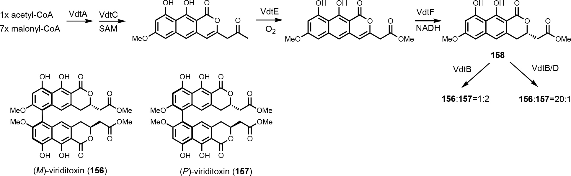 Figure 22.