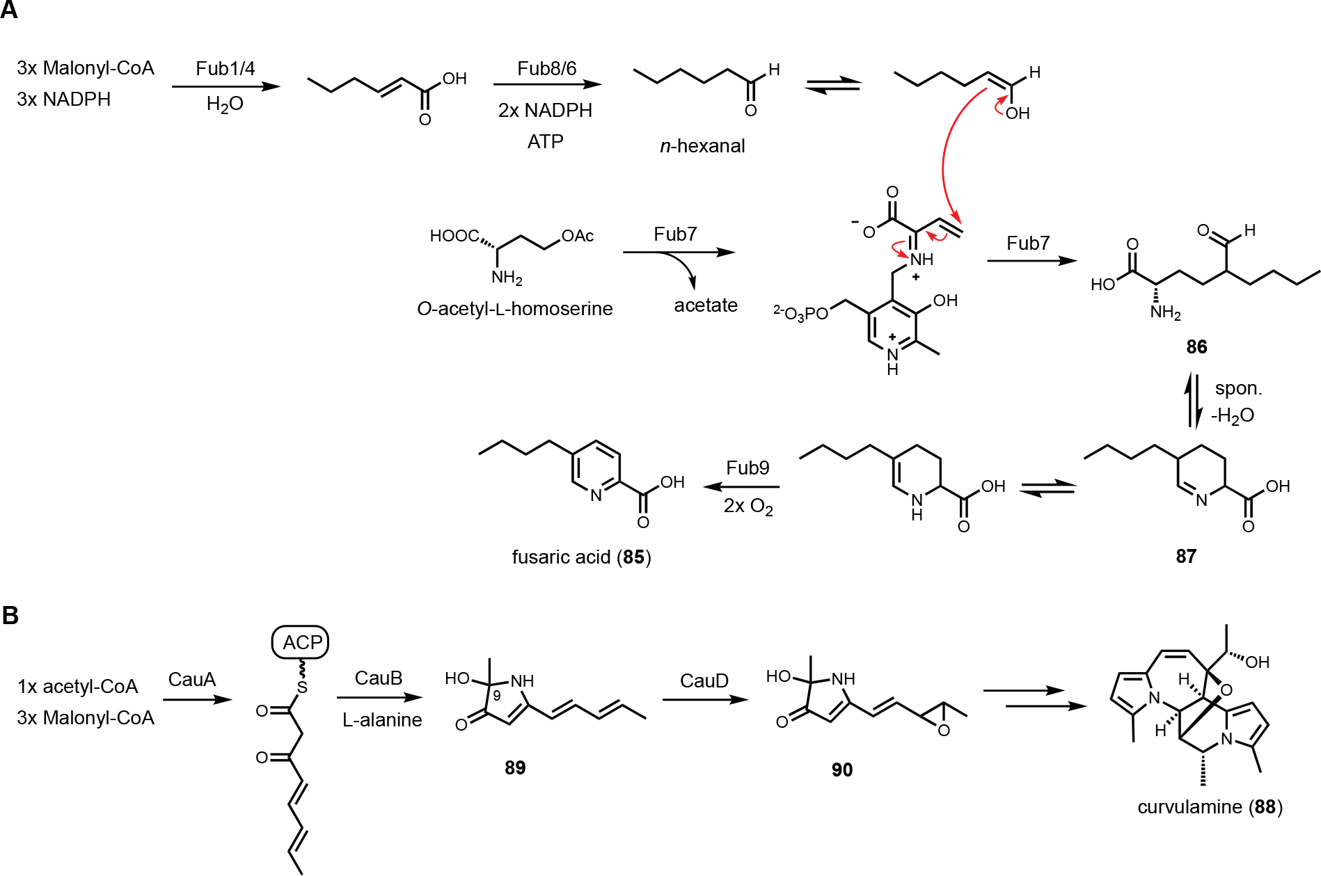 Figure 14.