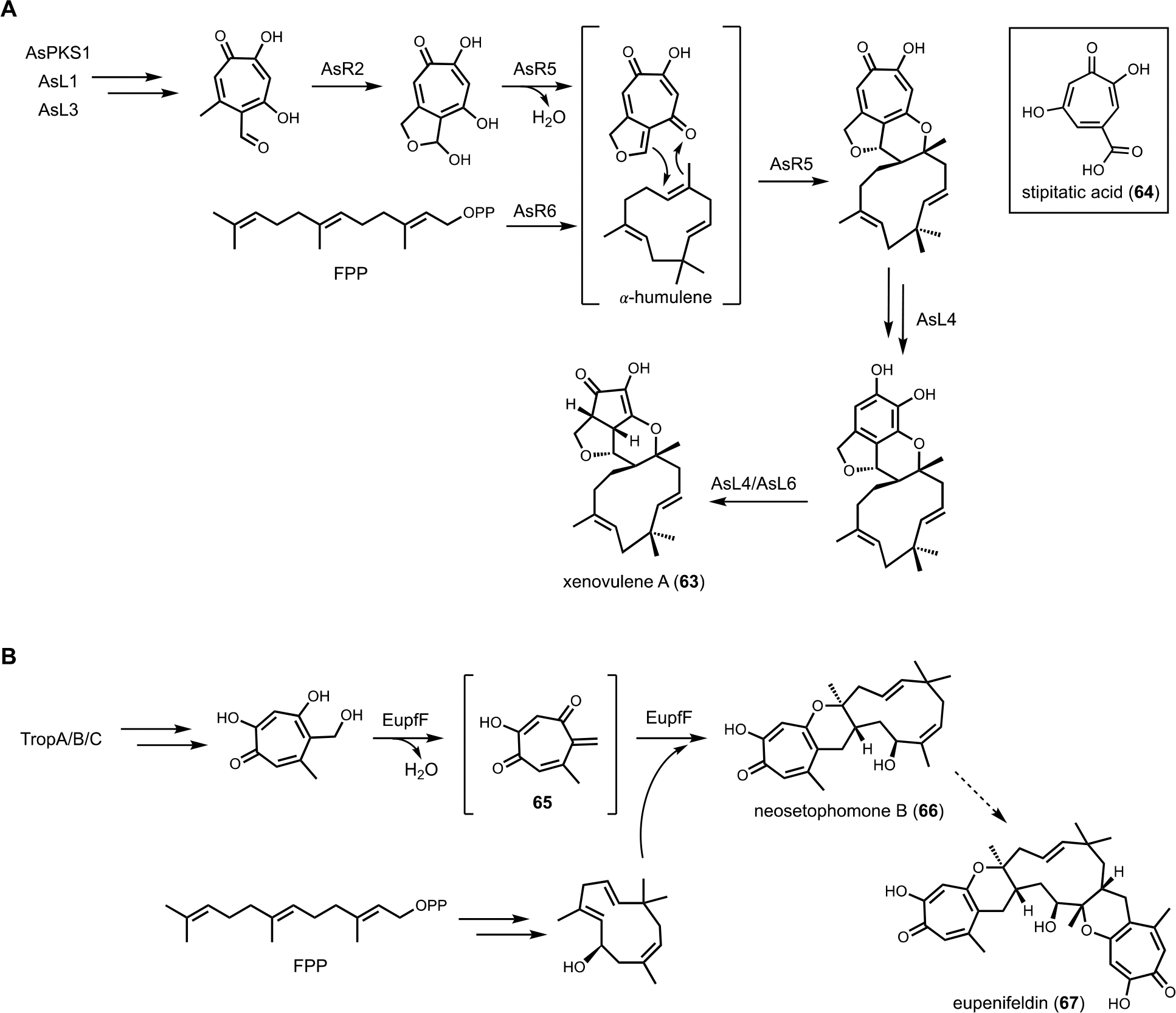 Figure 11.