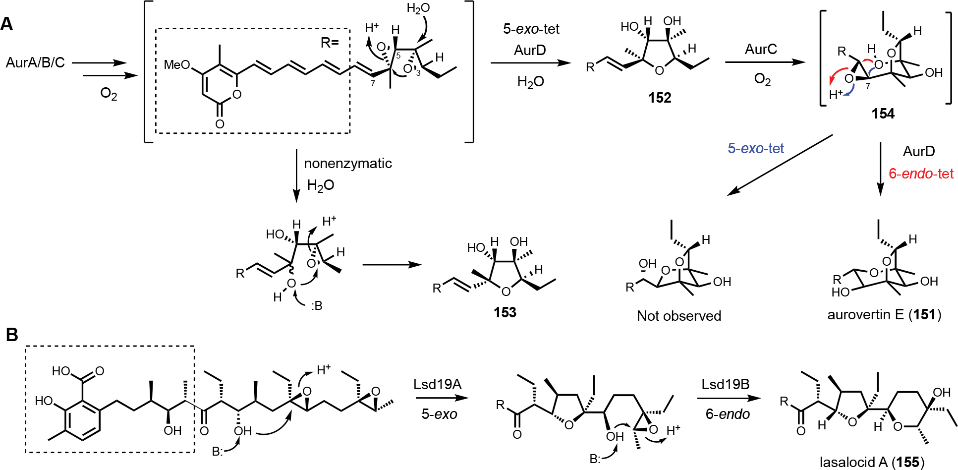 Figure 21.