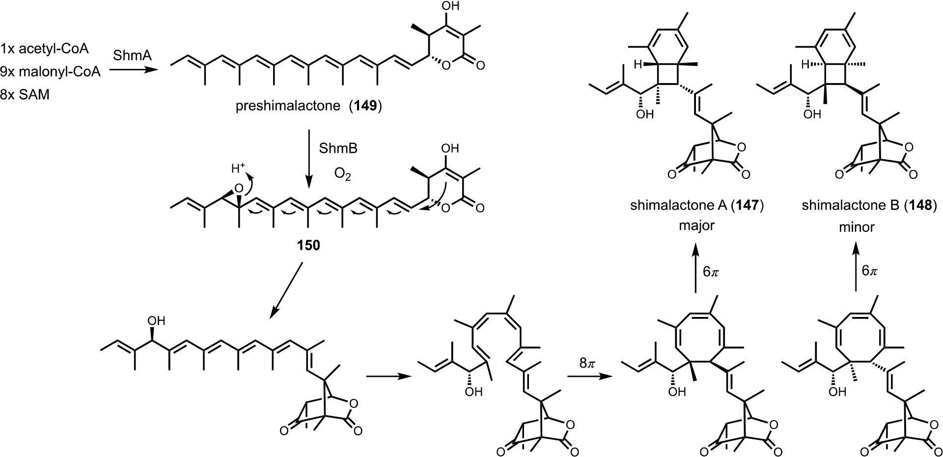 Figure 20.