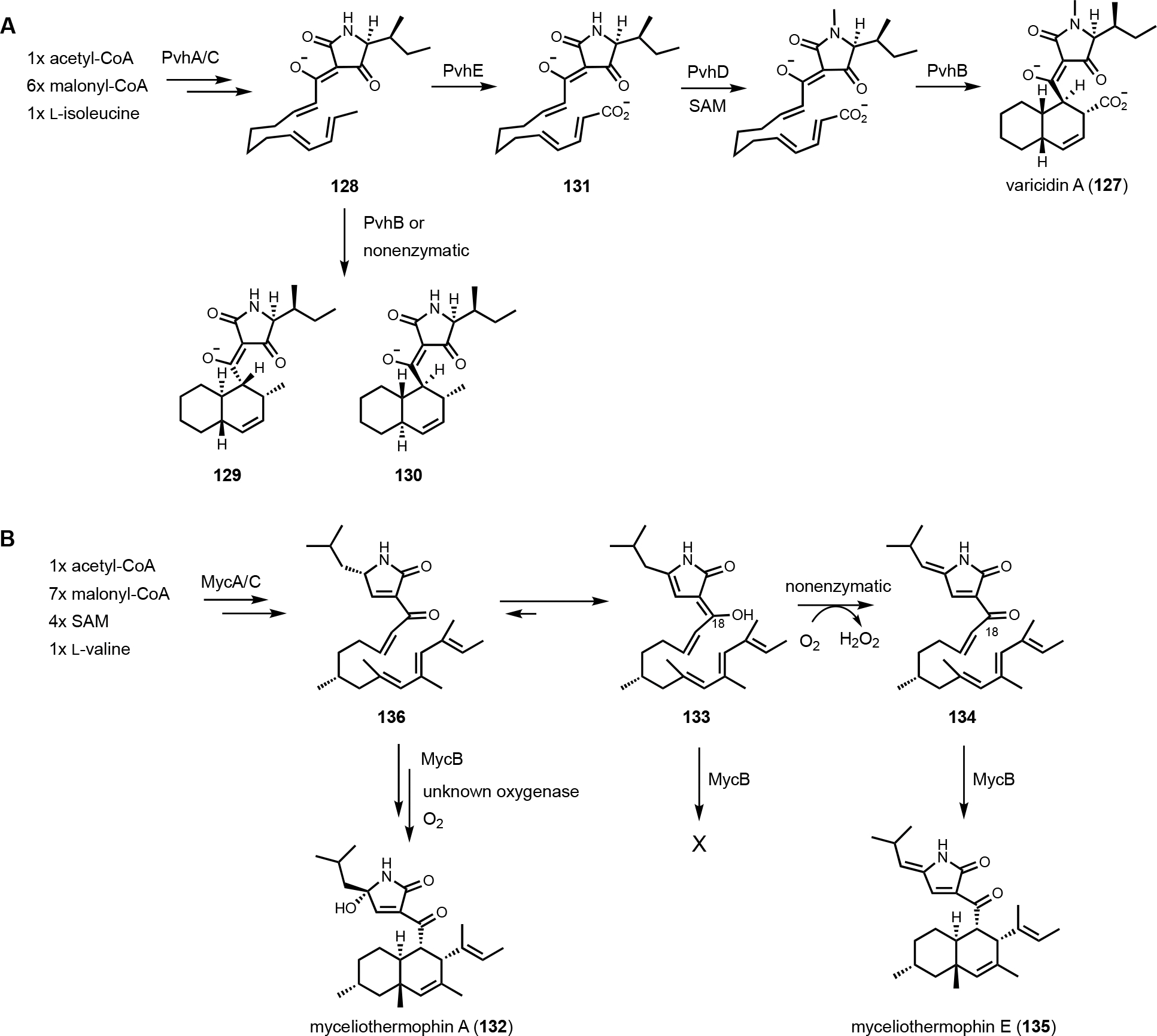 Figure 18.