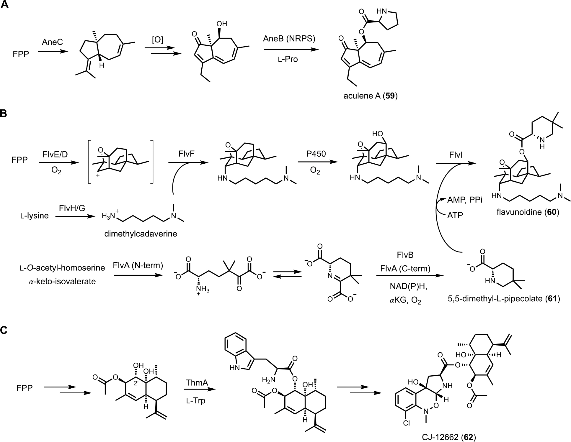 Figure 10.