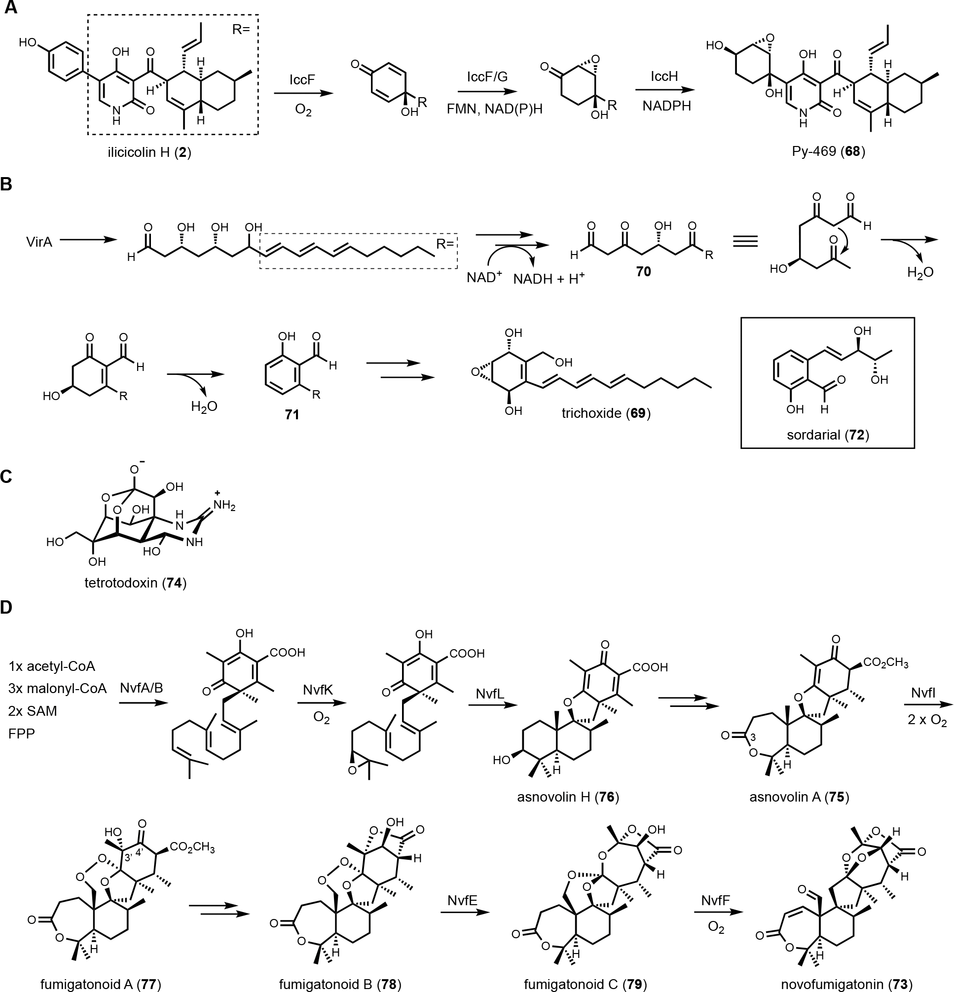 Figure 12.