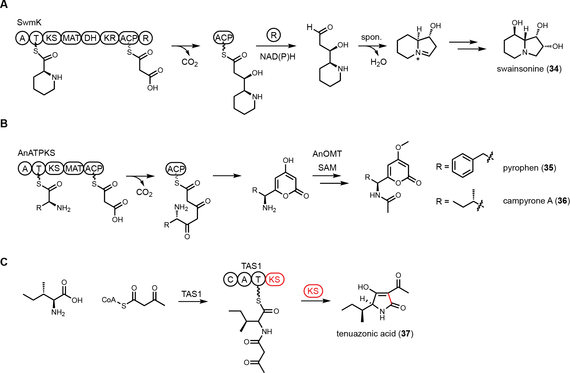 Figure 7.