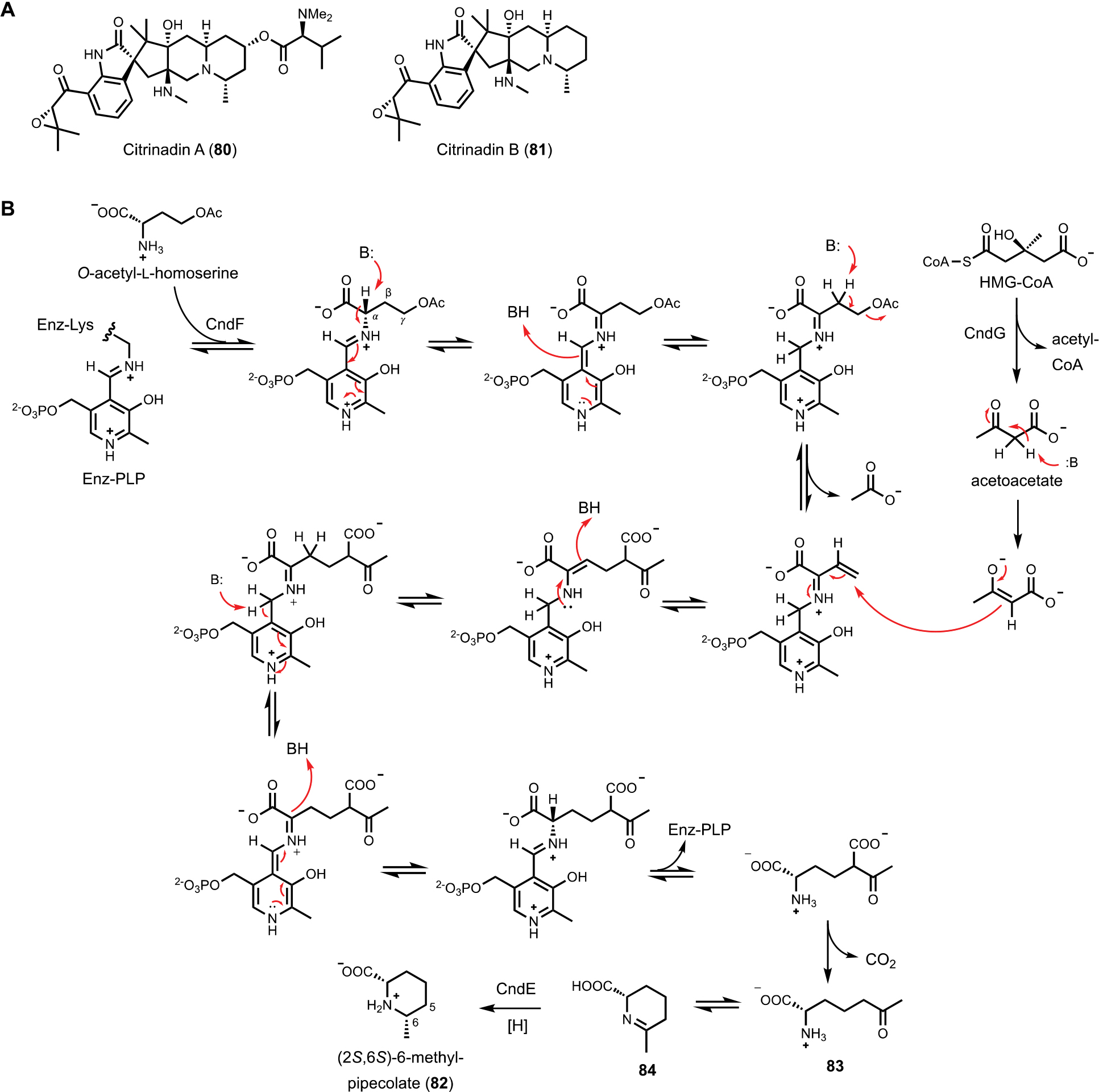 Figure 13.