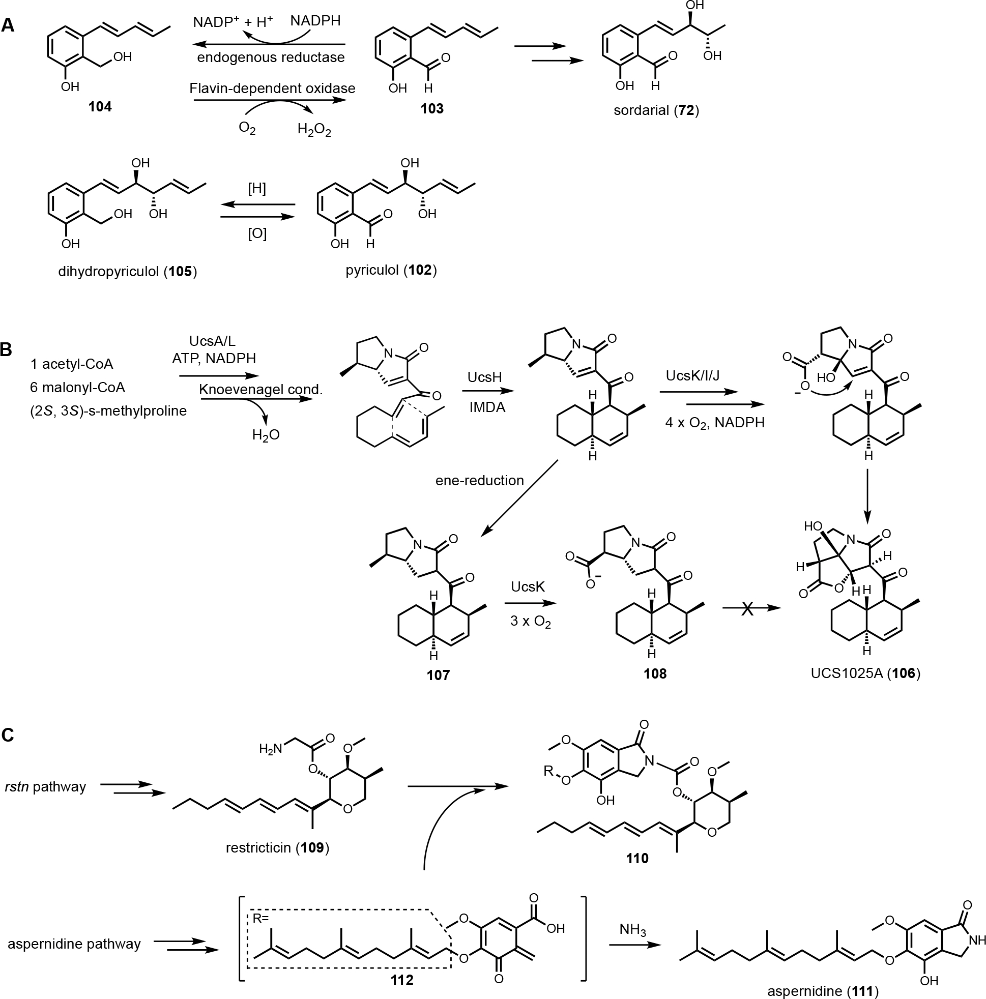 Figure 16.