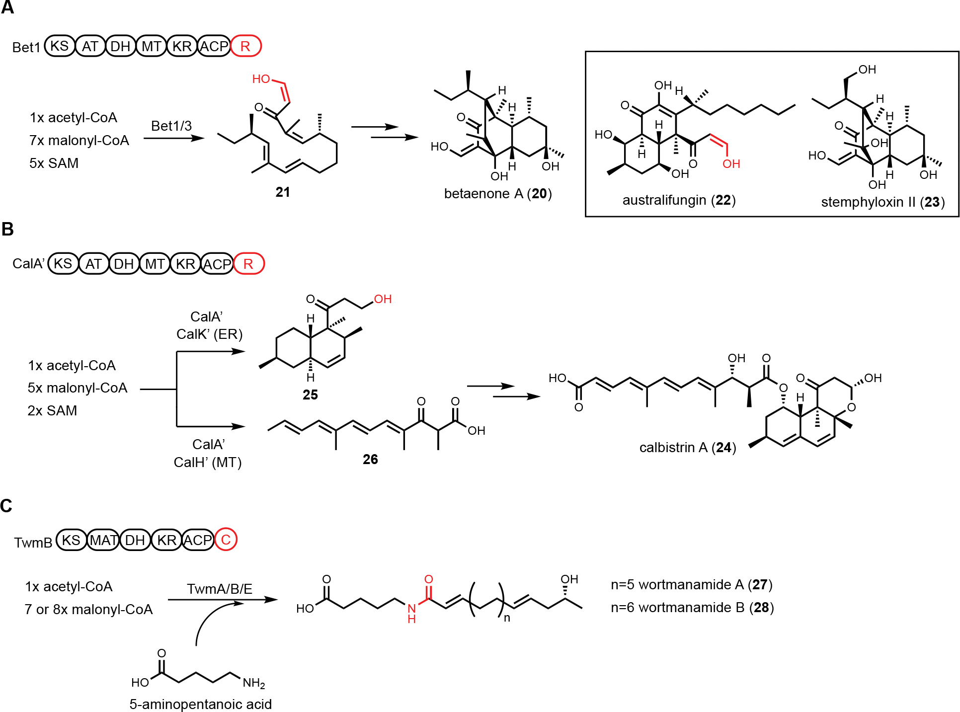 Figure 5.