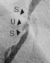 Figure 8