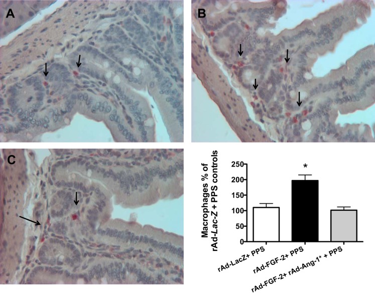 Fig. 8.