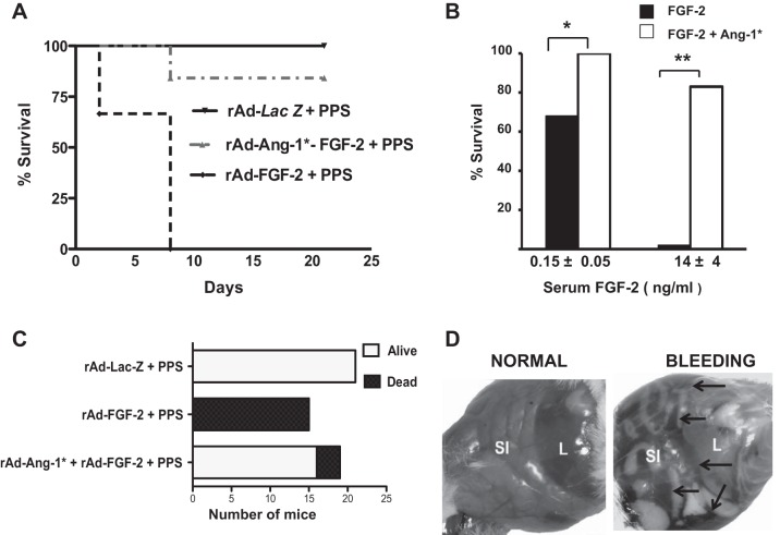 Fig. 6.