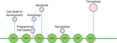 graphic file with name nihms-1509500-f0001.jpg