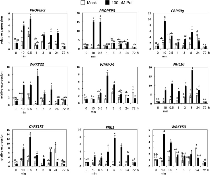 FIGURE 4